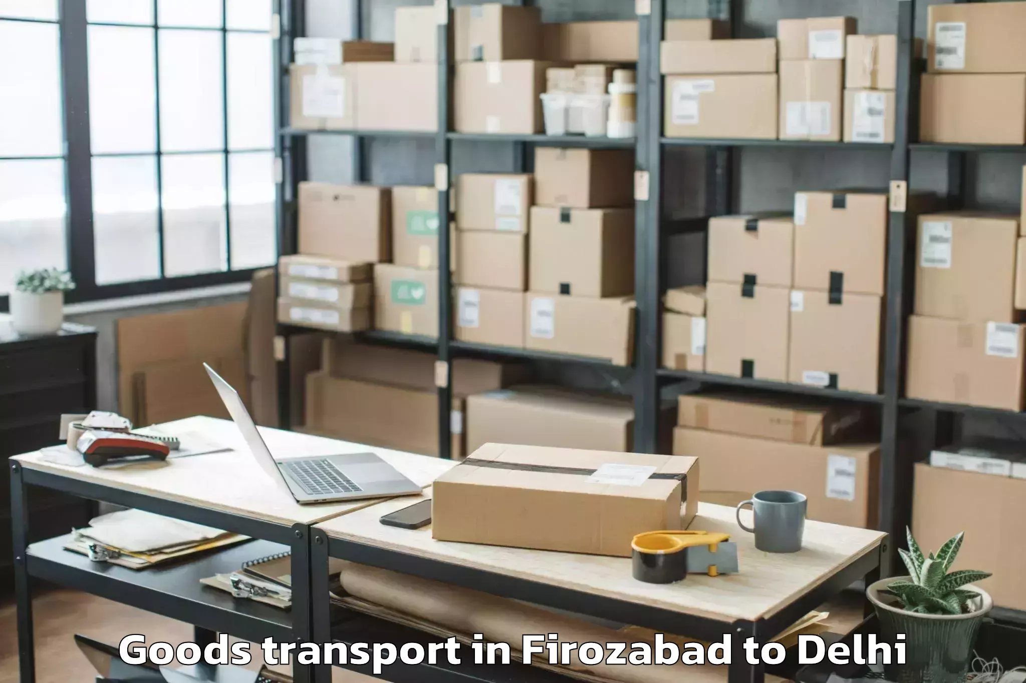 Firozabad to Parsvnath Mall Inderlok Goods Transport